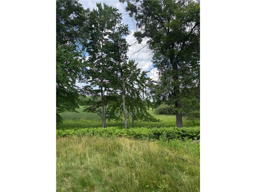 355 176th Lane NE Ham Lake MN 55304 7104461 image9