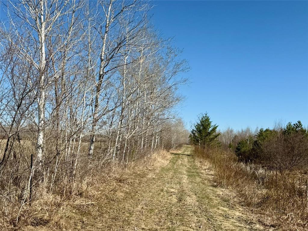 35504 Jackson Road Partridge Twp MN 55704 7062763 image19
