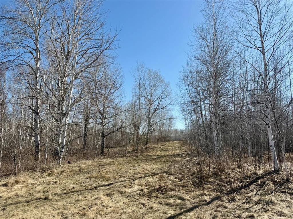 35504 Jackson Road Partridge Twp MN 55704 7062763 image20
