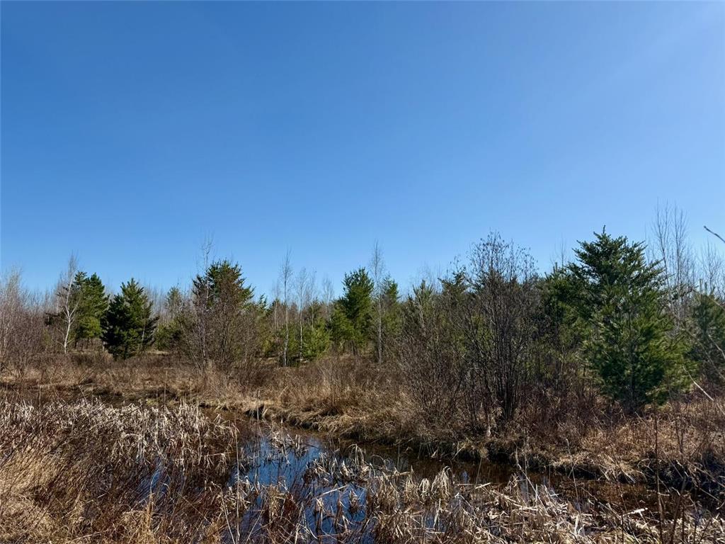 35504 Jackson Road Partridge Twp MN 55704 7062763 image29