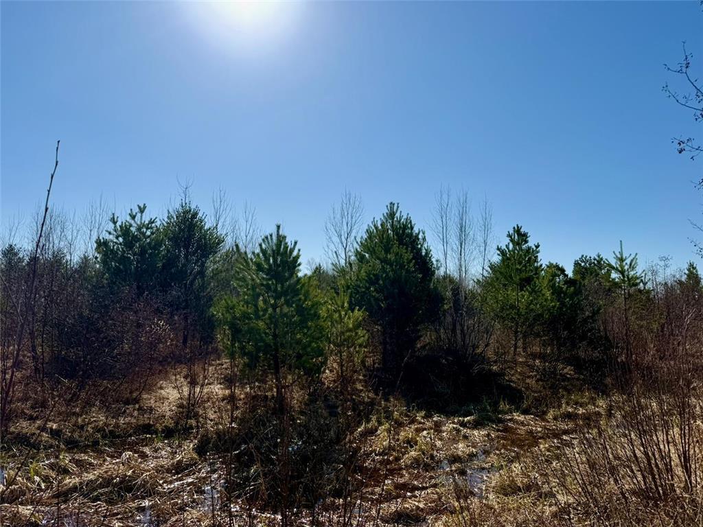 35504 Jackson Road Partridge Twp MN 55704 7062763 image30