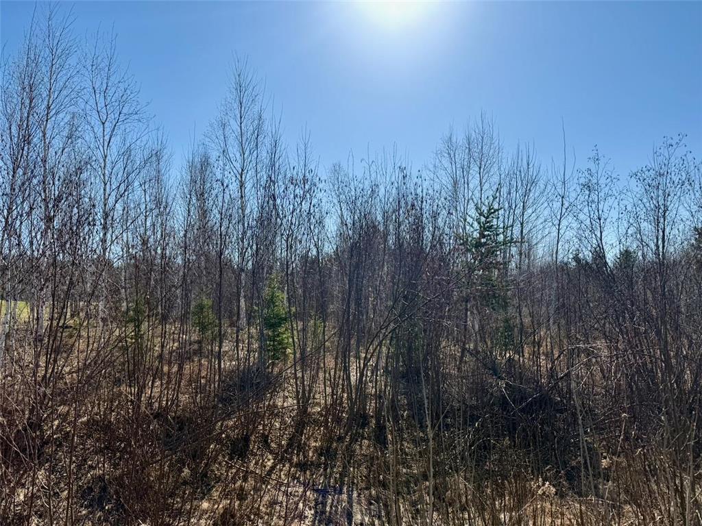 35504 Jackson Road Partridge Twp MN 55704 7062763 image31