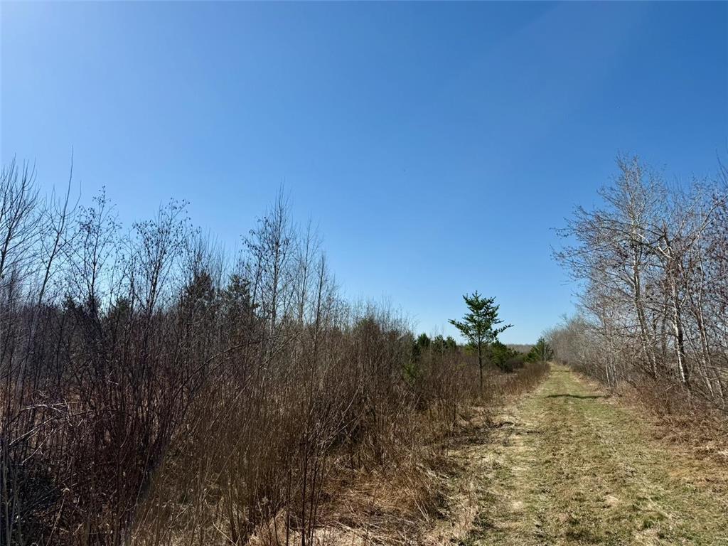 35504 Jackson Road Partridge Twp MN 55704 7062763 image32
