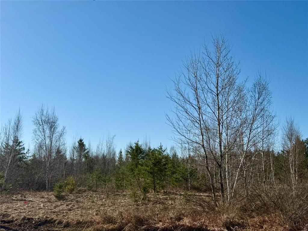 35504 Jackson Road Partridge Twp MN 55704 7062763 image37