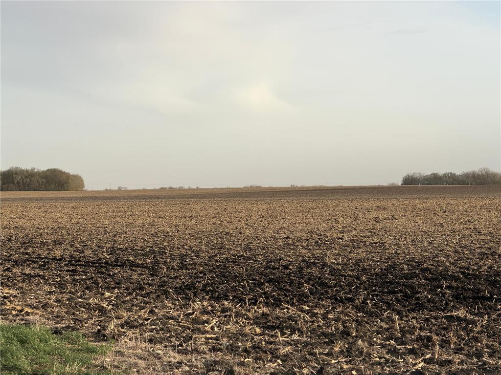 3553 250th Street Lac Qui Parle Twp MN 56232 7074584 image1