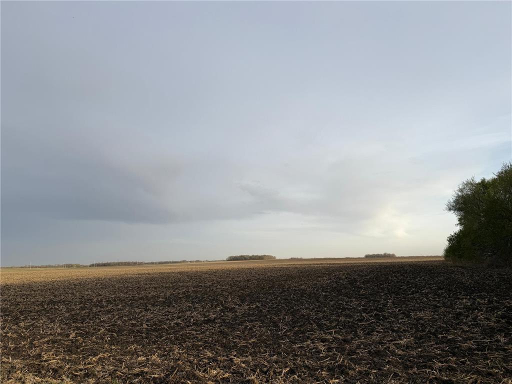 3553 250th Street Lac Qui Parle Twp MN 56232 7074584 image3
