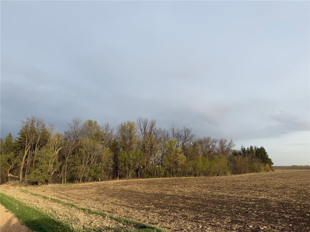 3553 250th Street Lac Qui Parle Twp MN 56232 7074584 image32