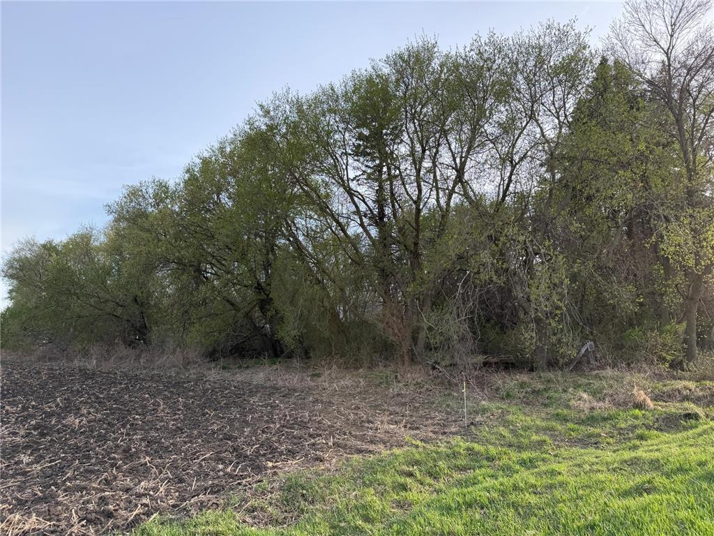 3553 250th Street Lac Qui Parle Twp MN 56232 7074584 image33