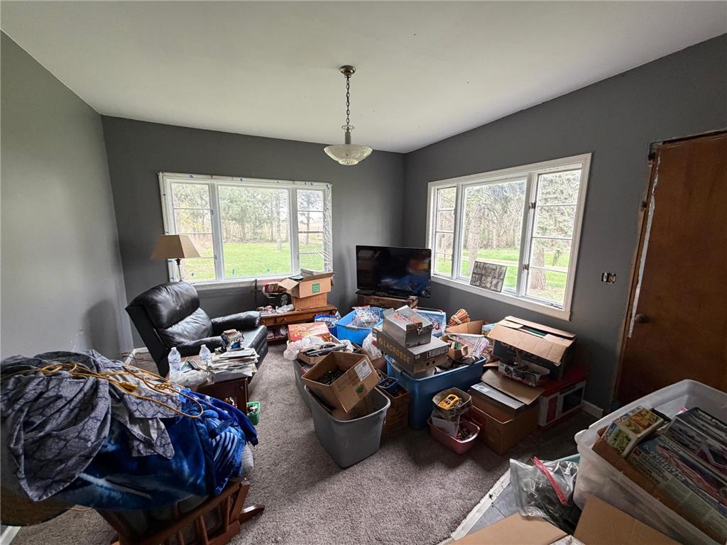 3553 250th Street Lac Qui Parle Twp MN 56232 7074584 image37