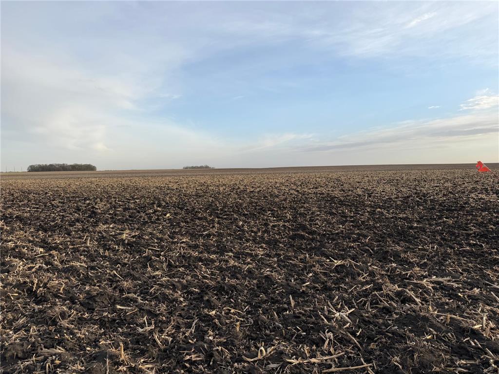 3553 250th Street Lac Qui Parle Twp MN 56232 7074584 image9