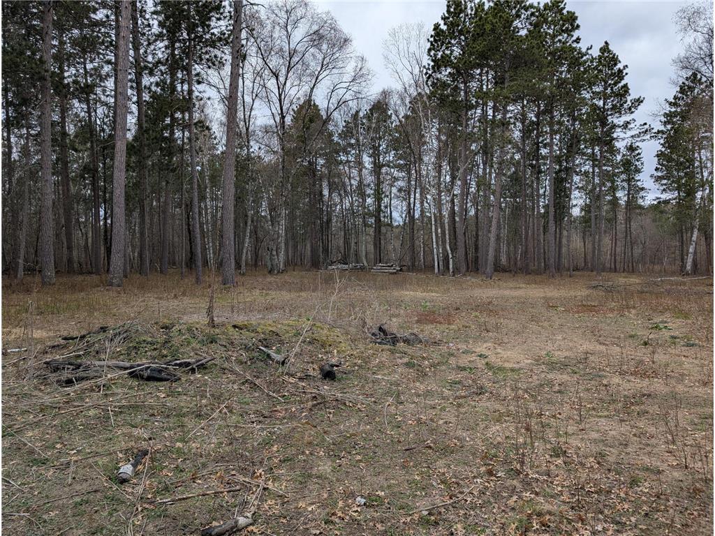 35546 Pine Terrace Road Ideal Twp MN 56442 7069163 image3