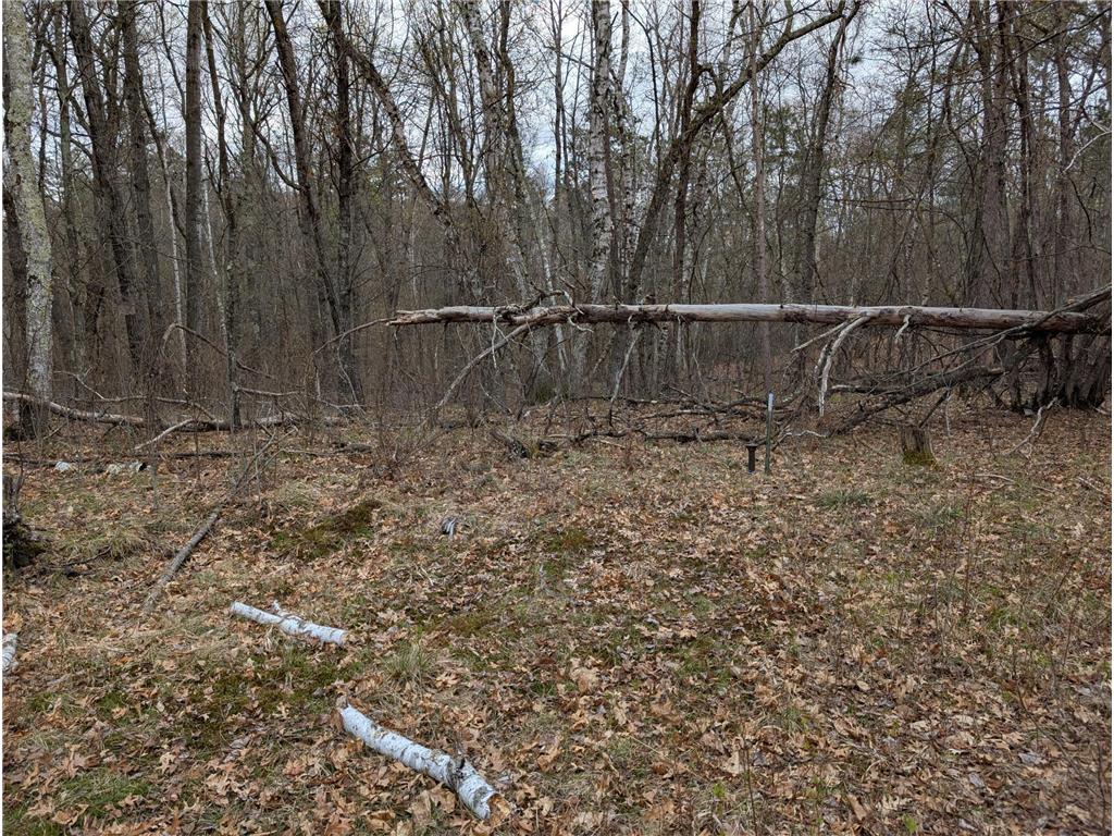 35546 Pine Terrace Road Ideal Twp MN 56442 7069163 image4