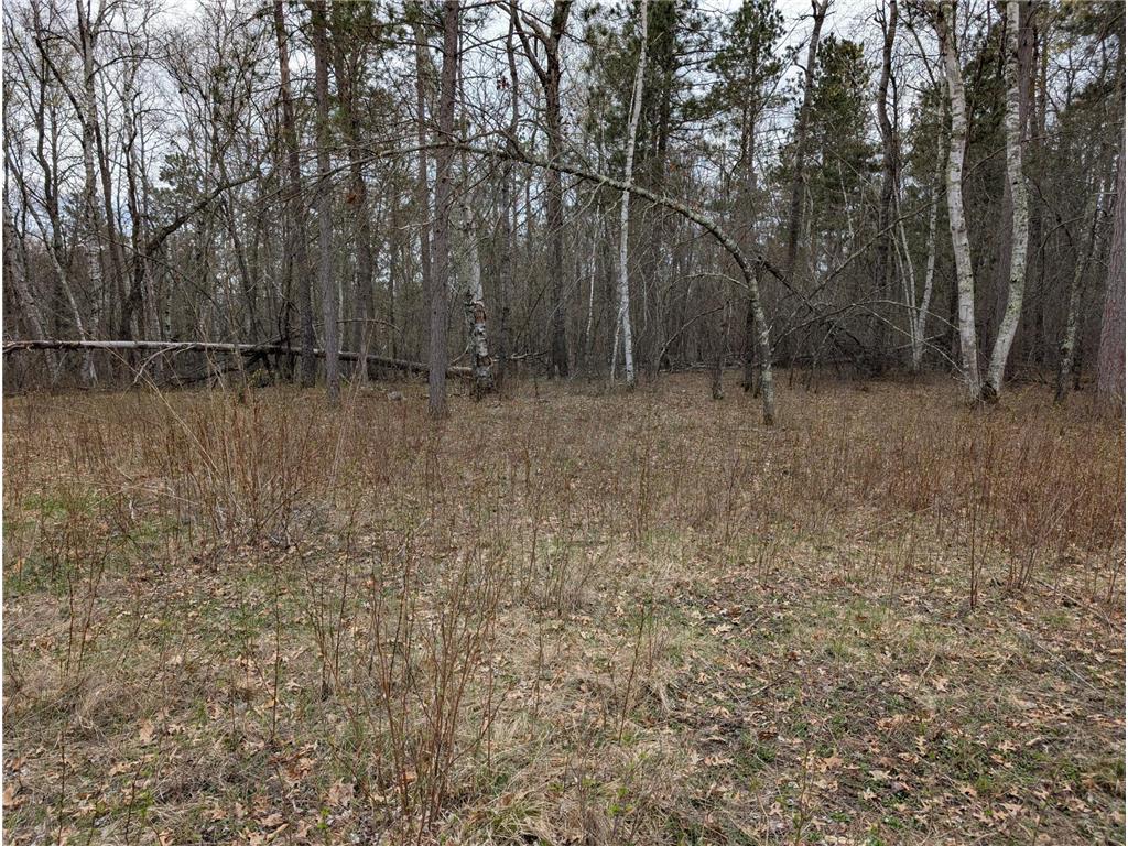 35546 Pine Terrace Road Ideal Twp MN 56442 7069163 image6