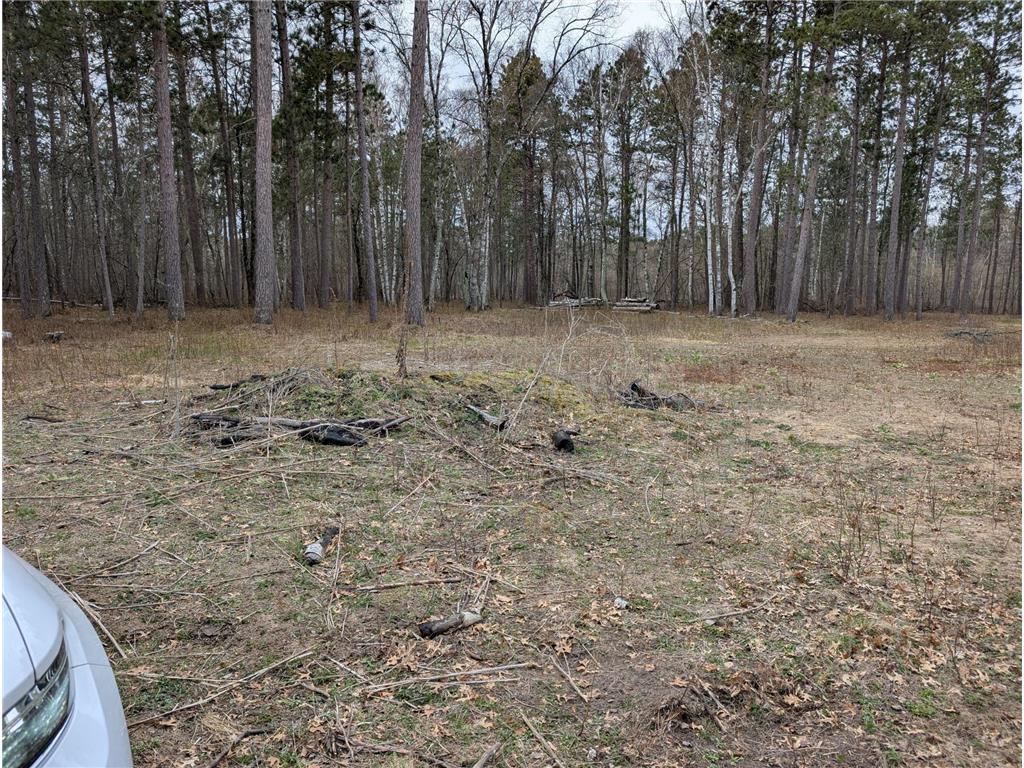 35546 Pine Terrace Road Ideal Twp MN 56442 7069163 image7