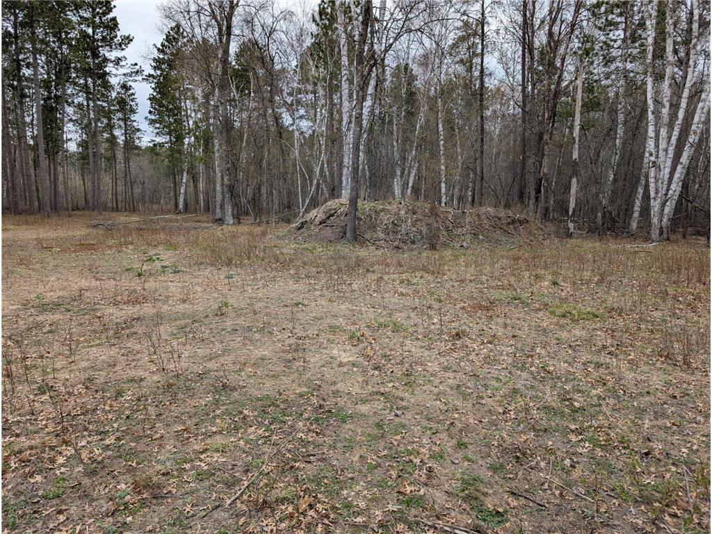 35546 Pine Terrace Road Ideal Twp MN 56442 7069163 image8