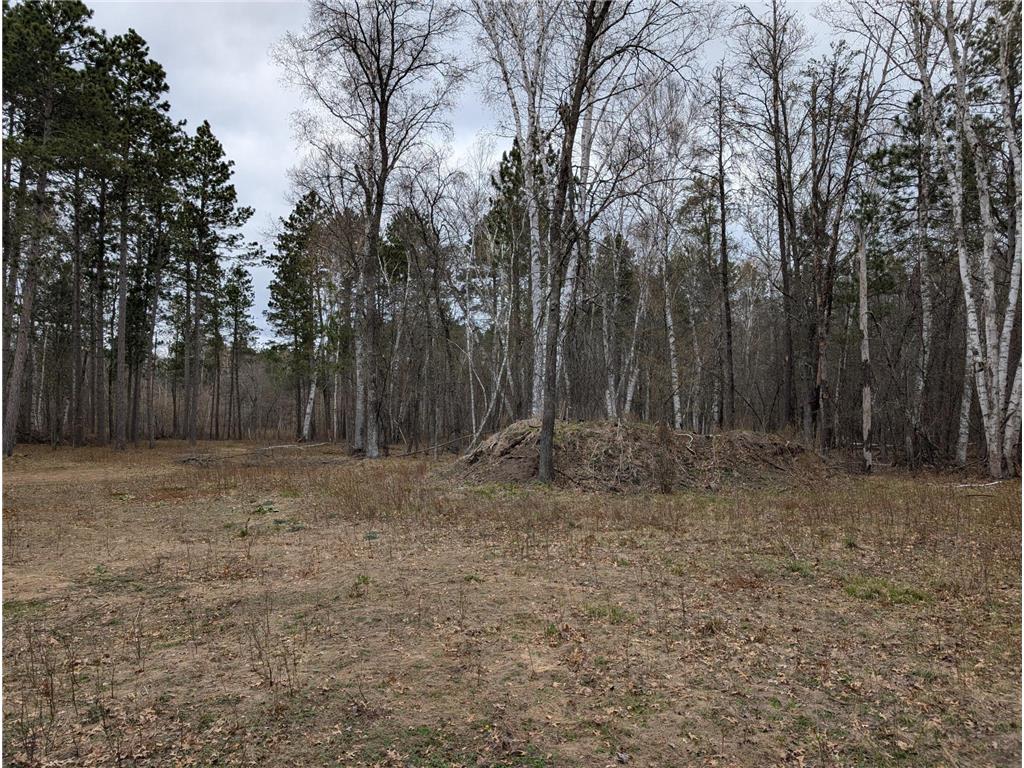 35546 Pine Terrace Road Ideal Twp MN 56442 7069163 image9