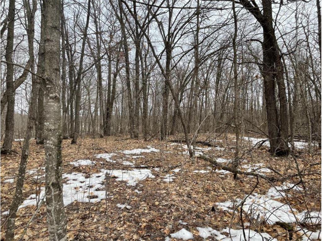 35569 Mission Road Ogema MN 56569 6355720 image1