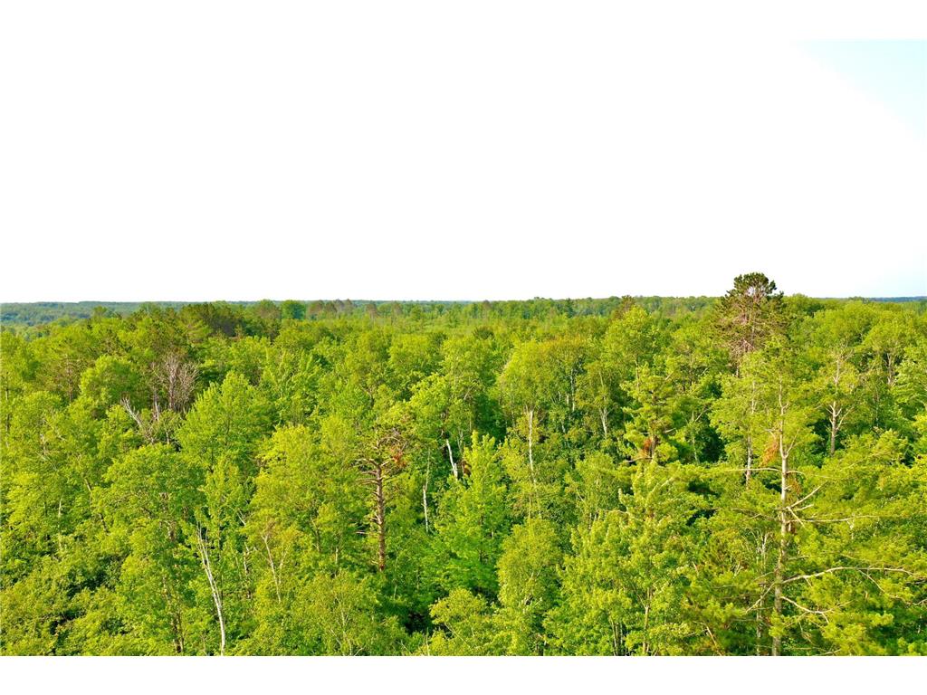 35596 Outback Sandstone Twp MN 55072 6467553 image1
