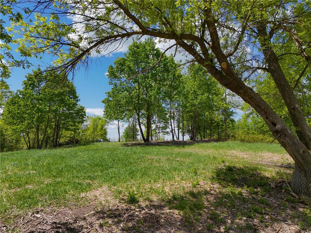 355XX 452nd St [A5] Vergas MN 56587 - East Loon 7052995 image7
