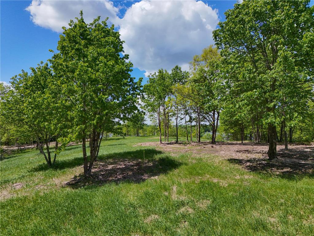 355XX 452nd St [A5] Vergas MN 56587 - East Loon 7052995 image8