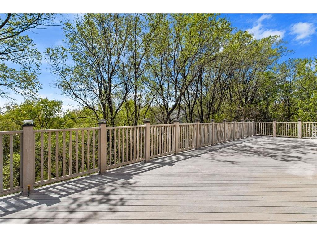 356 Arlington Avenue W Saint Paul MN 55117 7082045 image19