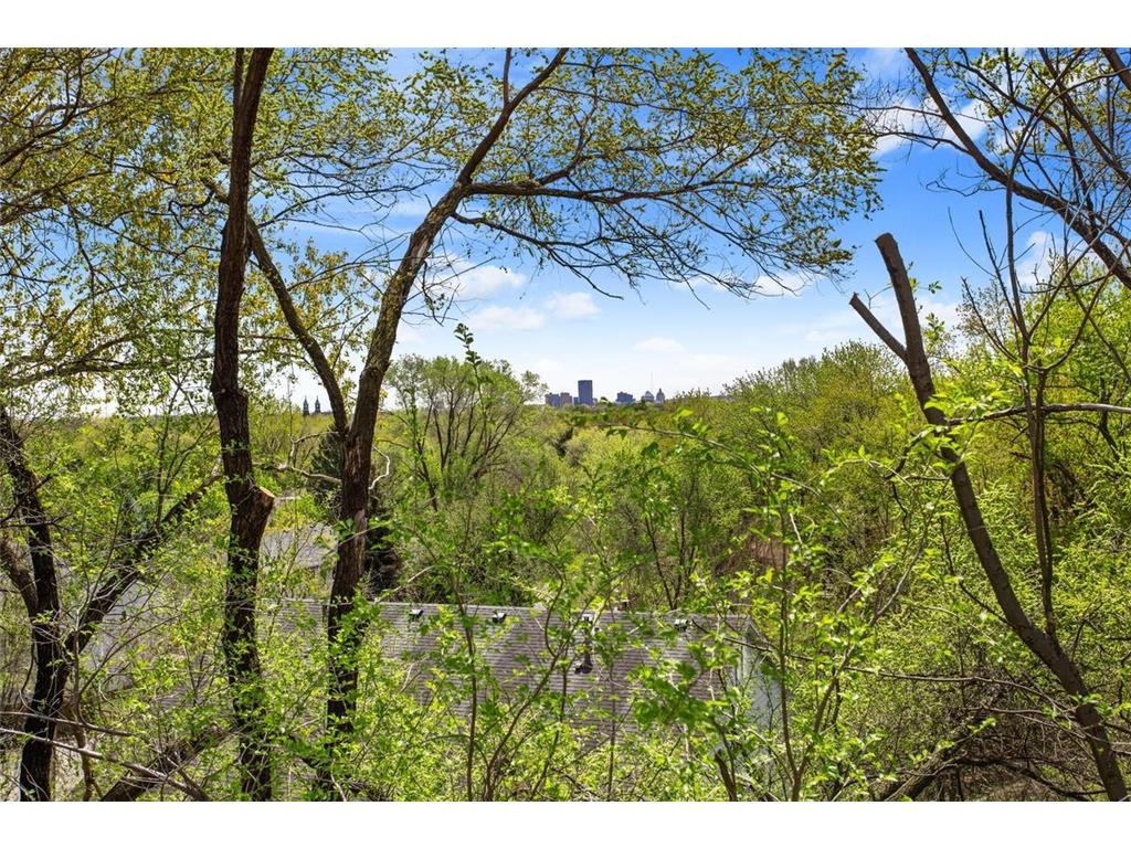 356 Arlington Avenue W Saint Paul MN 55117 7082045 image22