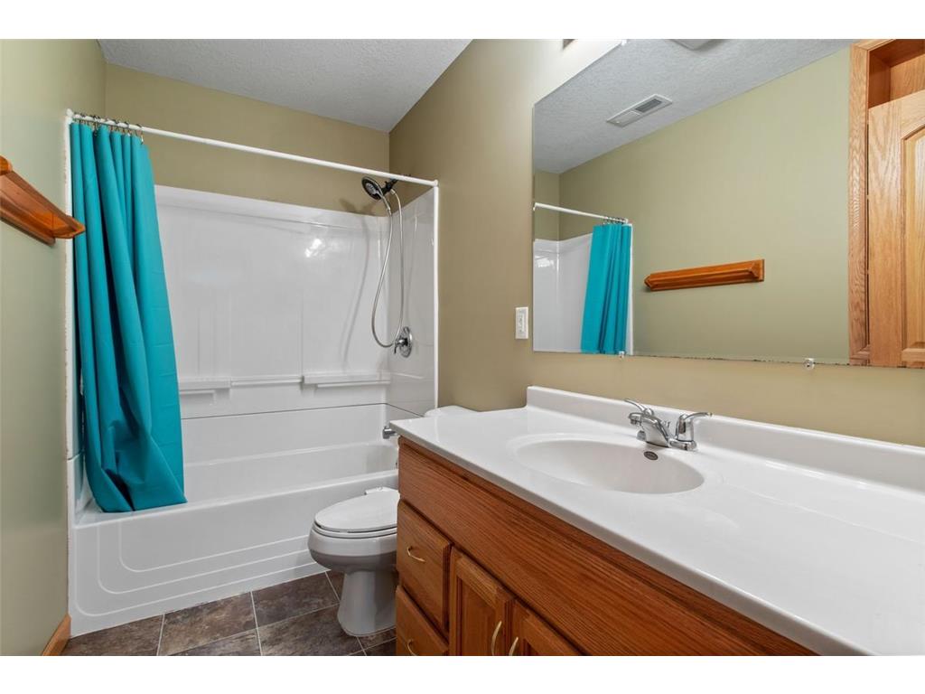 356 Arlington Avenue W Saint Paul MN 55117 7082045 image37