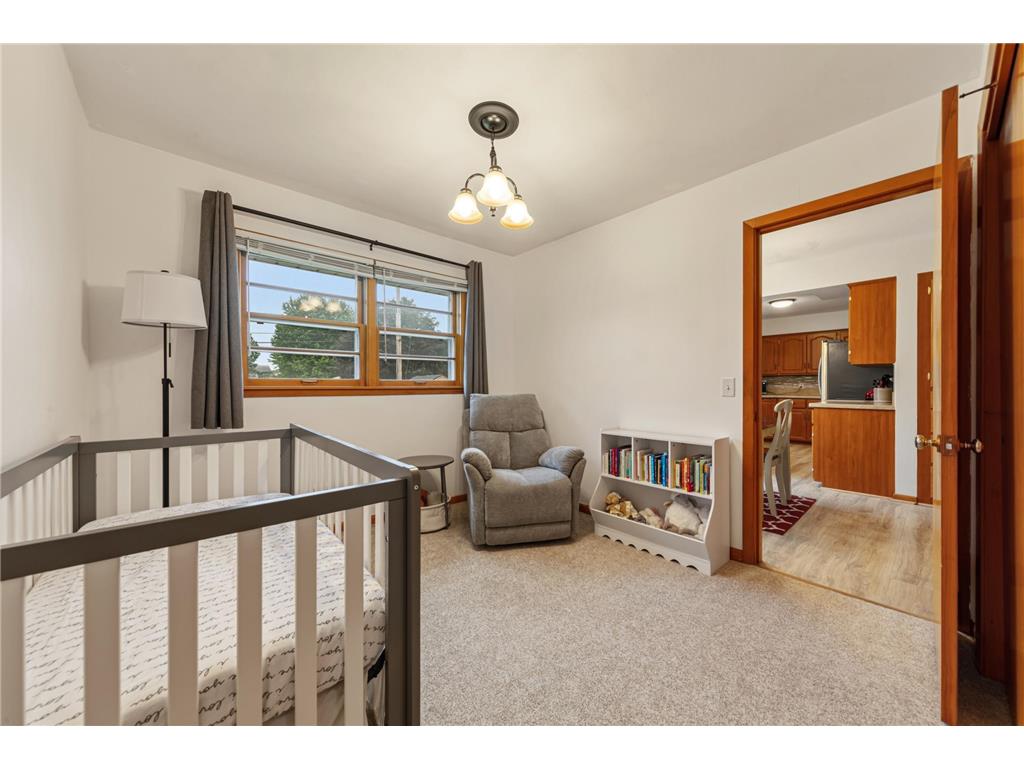 356 Mcindoe Street Owatonna MN 55060 7084096 image20