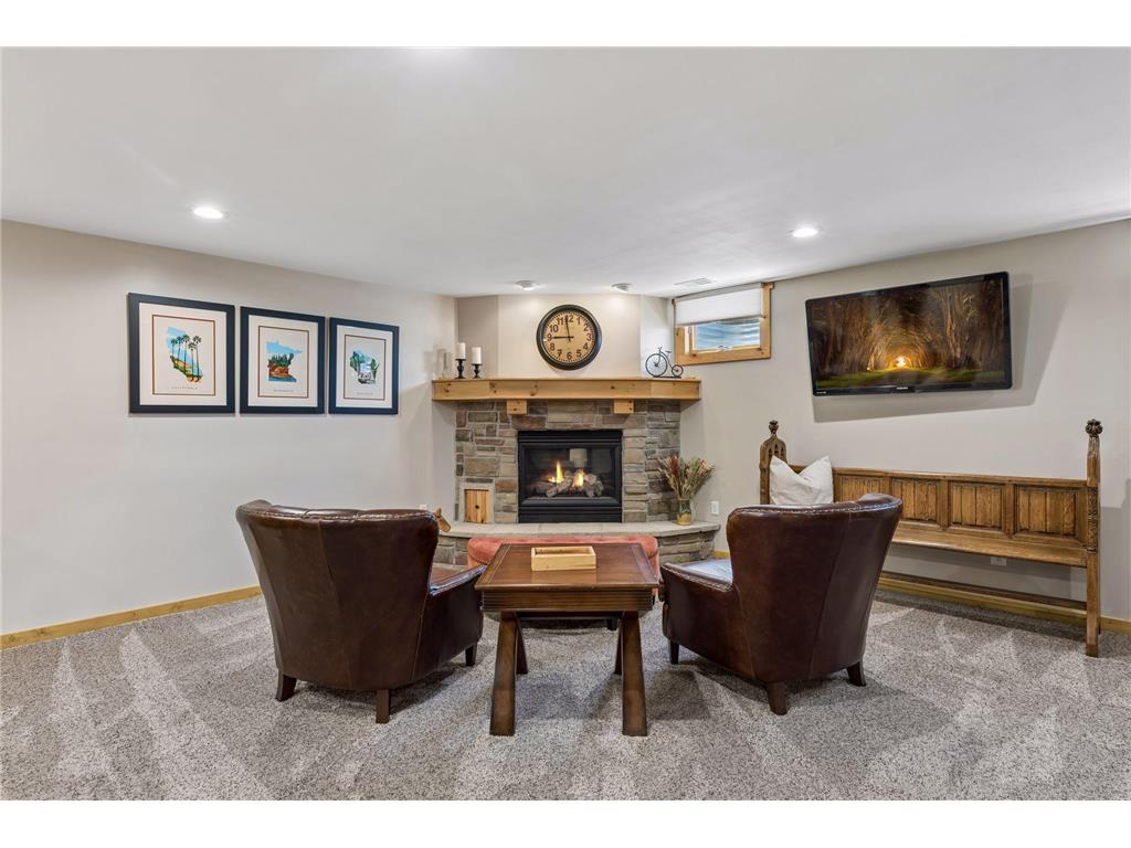 356 Pendryn Hill Curve Woodbury MN 55125 7014424 image30