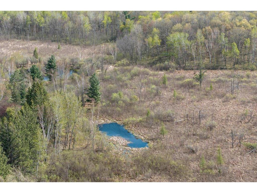 35727 Quest Road Richardson Twp MN 56338 7072289 image61