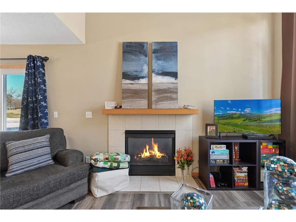 3574 Sterling Heights Drive #H River Falls WI 54022 7048504 image4