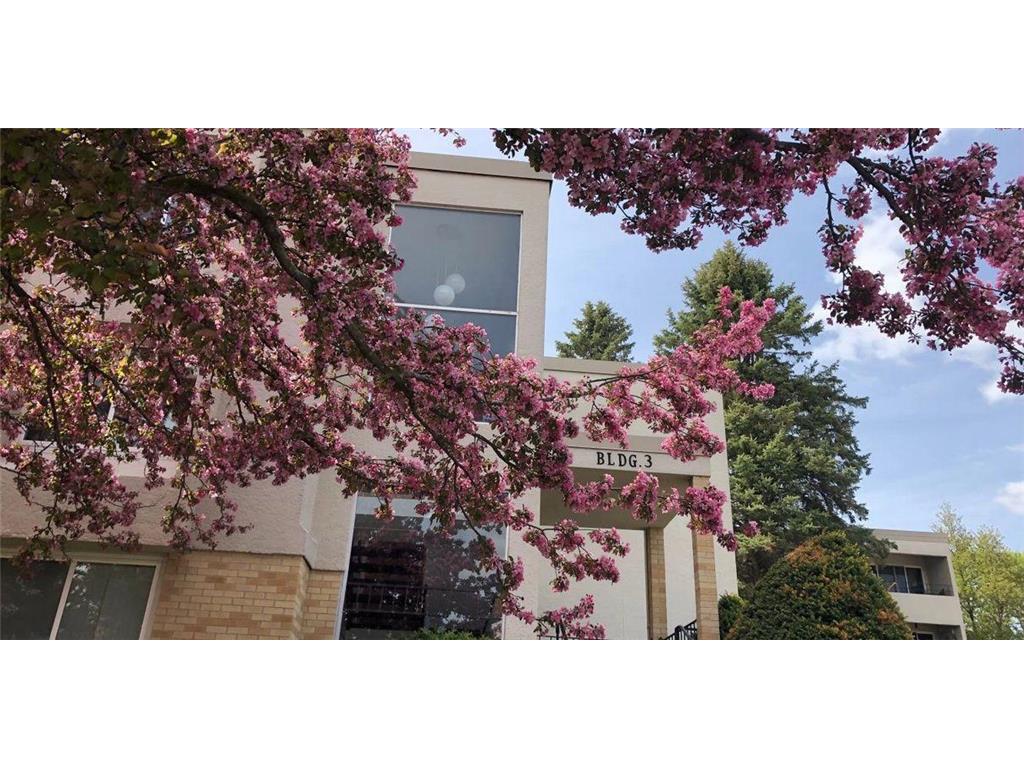 358 Elton Hills Drive NW #15 Rochester MN 55901 6710984 image1