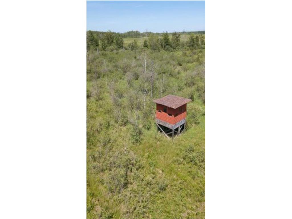 35803 390th Street Spencer Twp MN 56431 7099331 image4