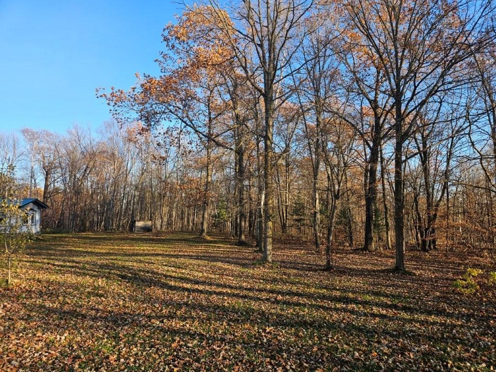 35808 Old Scale Drive Bagley MN 56621 6809876 image30