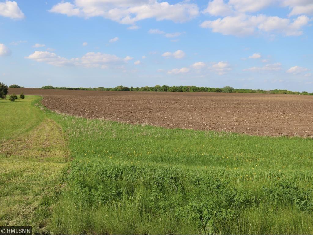 35811 Sharon Prairie Drive Le Sueur MN 56058 4958365 image1