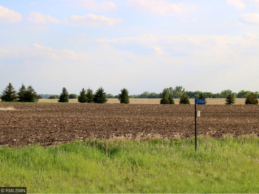 35868 Sharon Prairie Drive Le Sueur MN 56058 4958033 image4