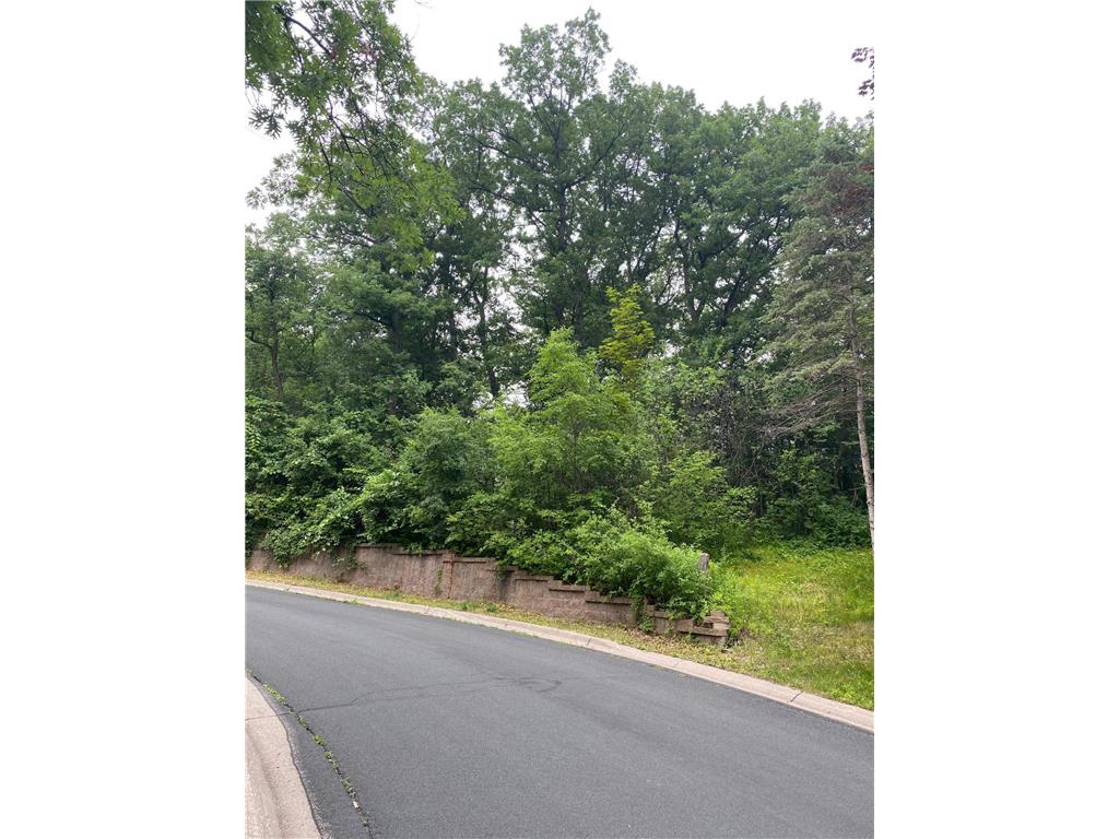 3588 Ridgewood Road, Arden Hills, MN 55112 MLS 6229272 Edina Realty