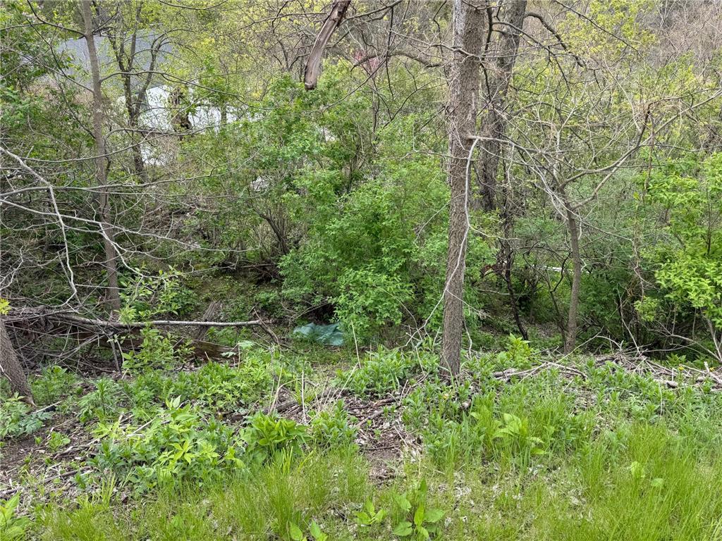 359 Hill Street E Hammond MN 55991 7068498 image15