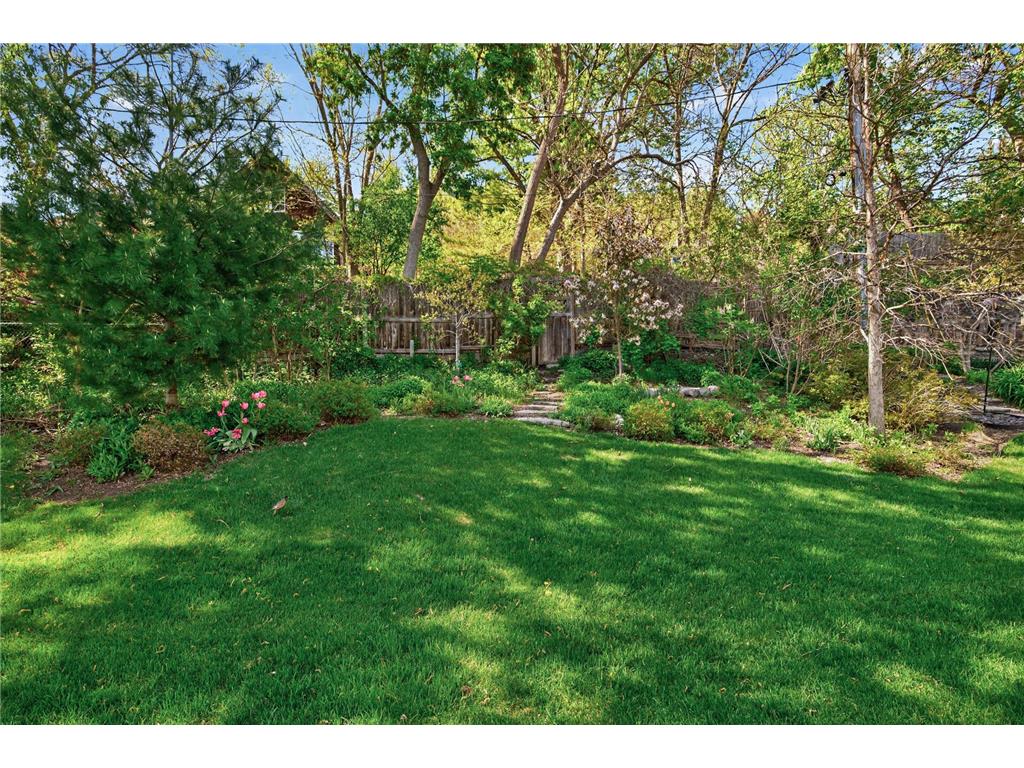 359 Pleasant Avenue Saint Paul MN 55102 7072436 image43