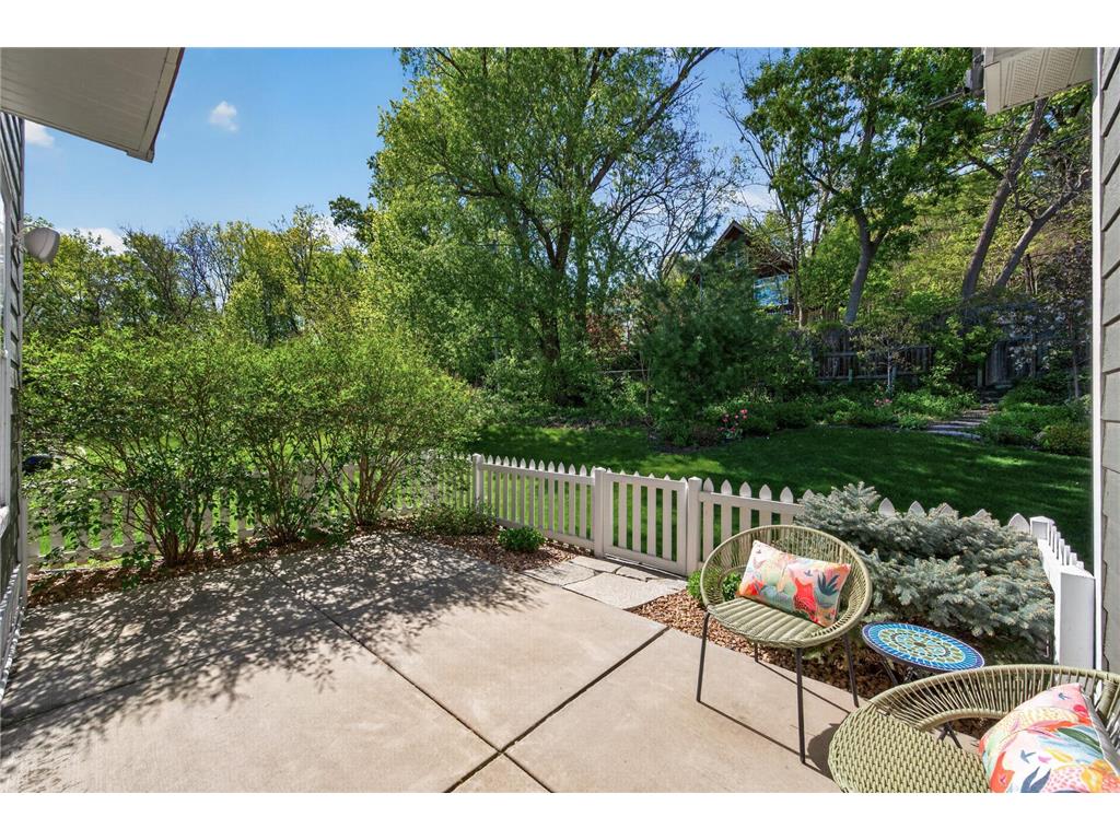 359 Pleasant Avenue Saint Paul MN 55102 7072436 image46