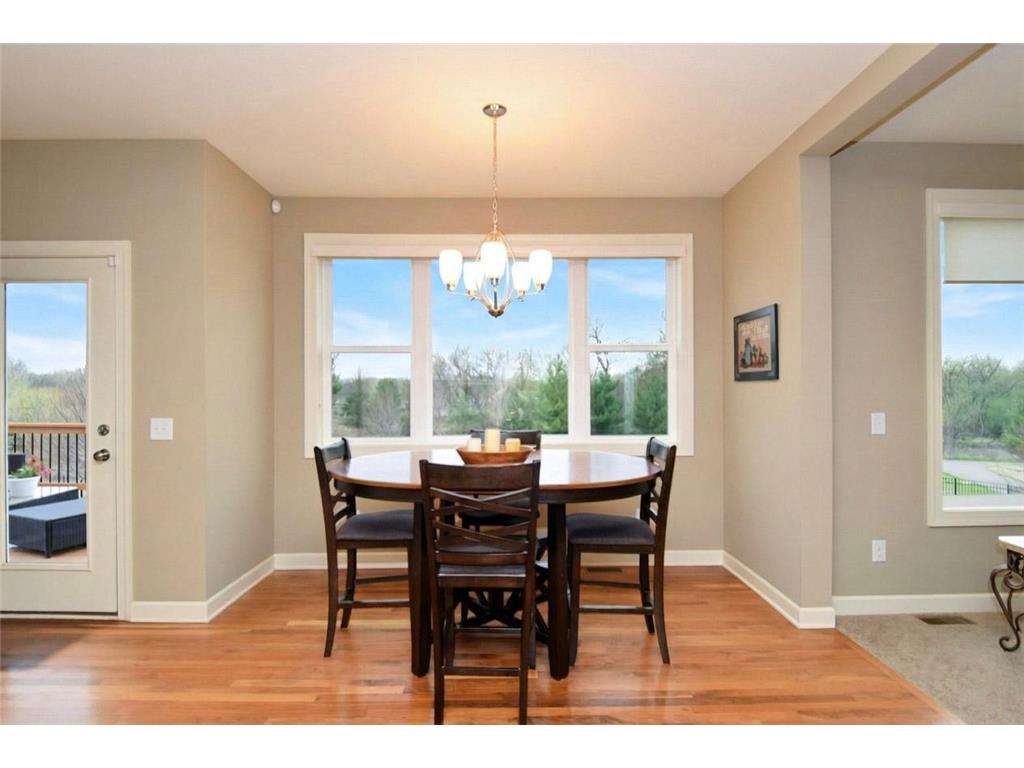 359 Riverside Circle Anoka MN 55303 7056062 image10