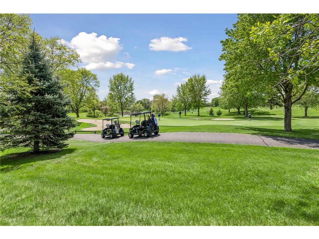 3595 Rae Lane Woodbury MN 55125 7067336 image63