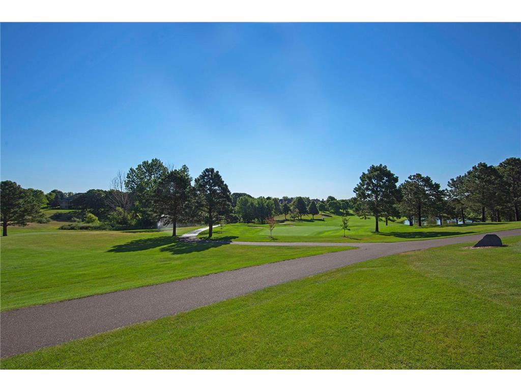3595 Rae Lane Woodbury MN 55125 7067336 image73