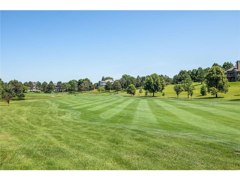 3595 Rae Lane Woodbury MN 55125 7067336 image80