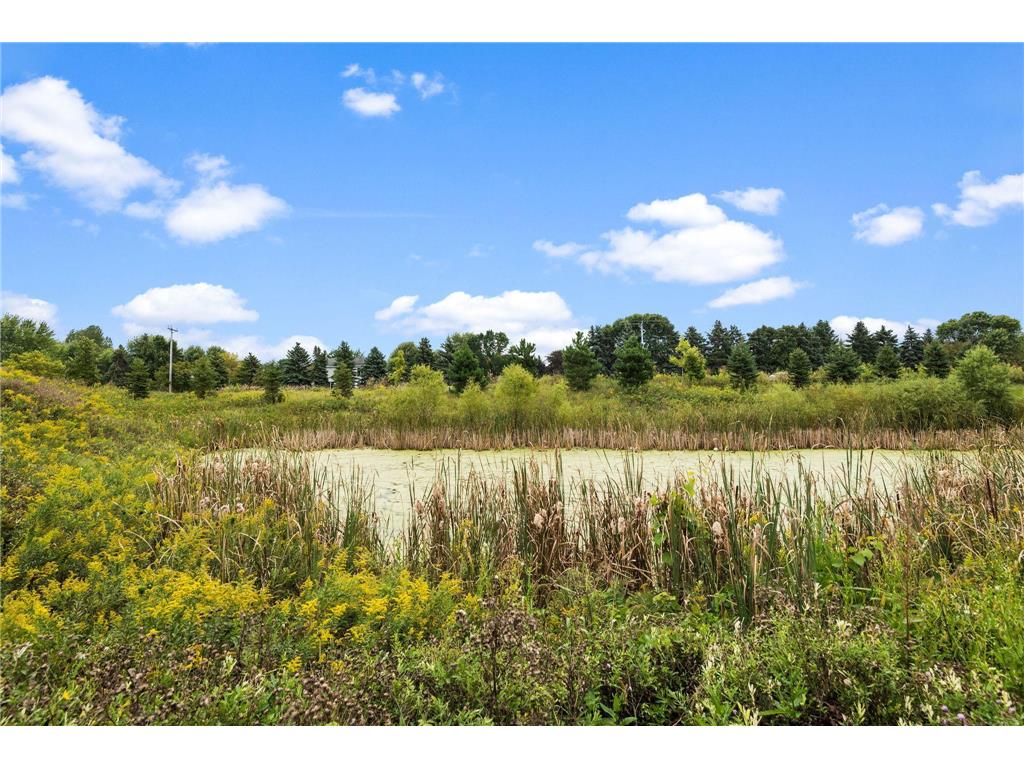 3596 Kady Avenue NE Saint Michael MN 55376 7000148 image35