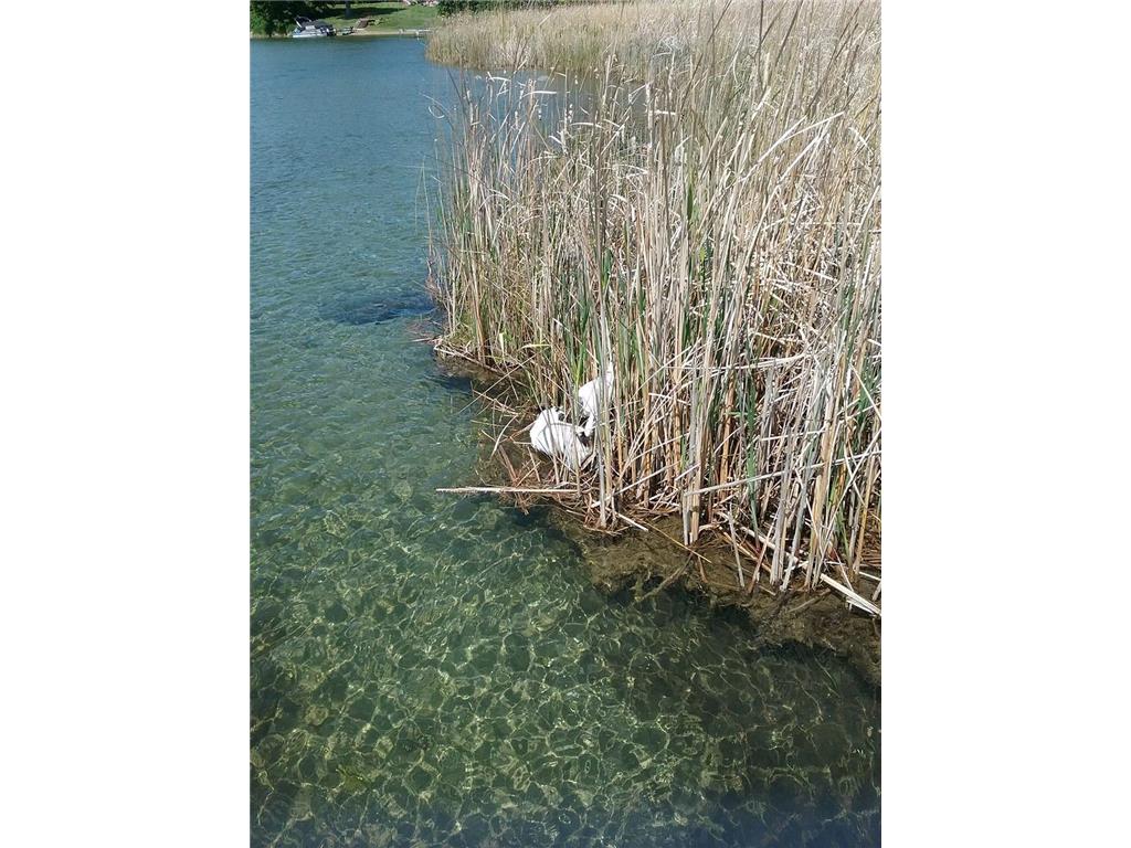 35964 Timber Hills Trail Battle Lake MN 56515 - Otter Tail River 6319834 image1