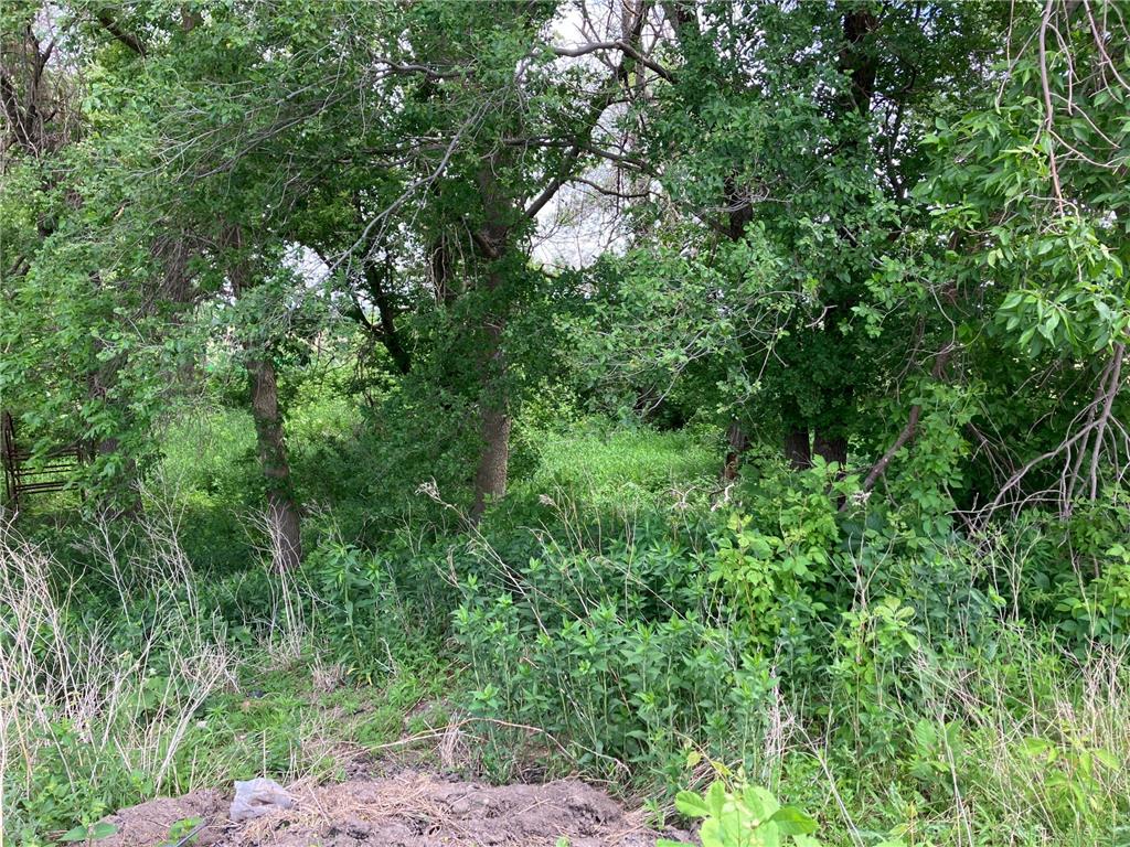 3598 W Highway 30 Summit Twp MN 56026 7081662 image10