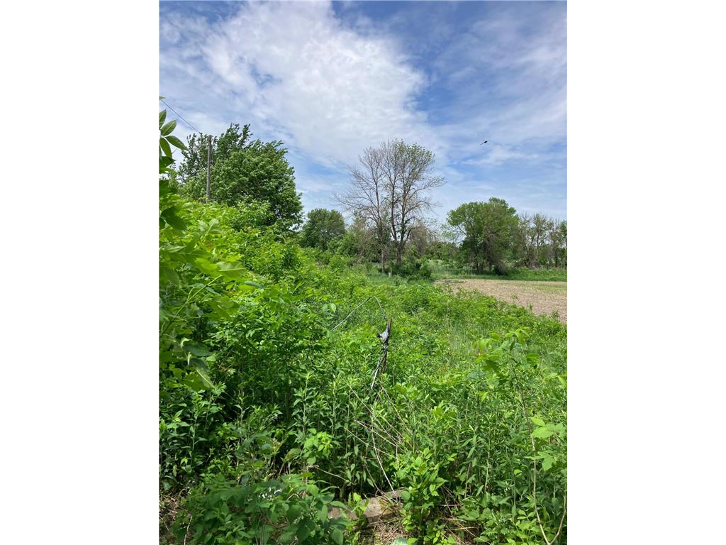 3598 W Highway 30 Summit Twp MN 56026 7081662 image11