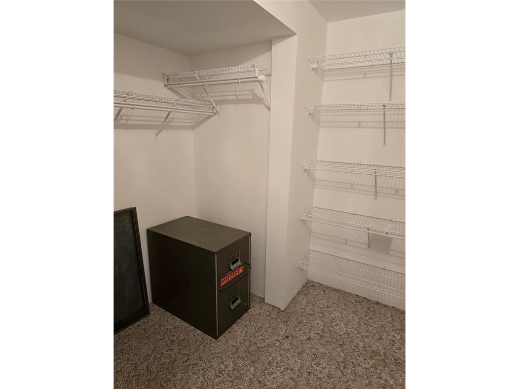 35996 391st Avenue Lake Prairie Twp MN 56058 6552422 image32