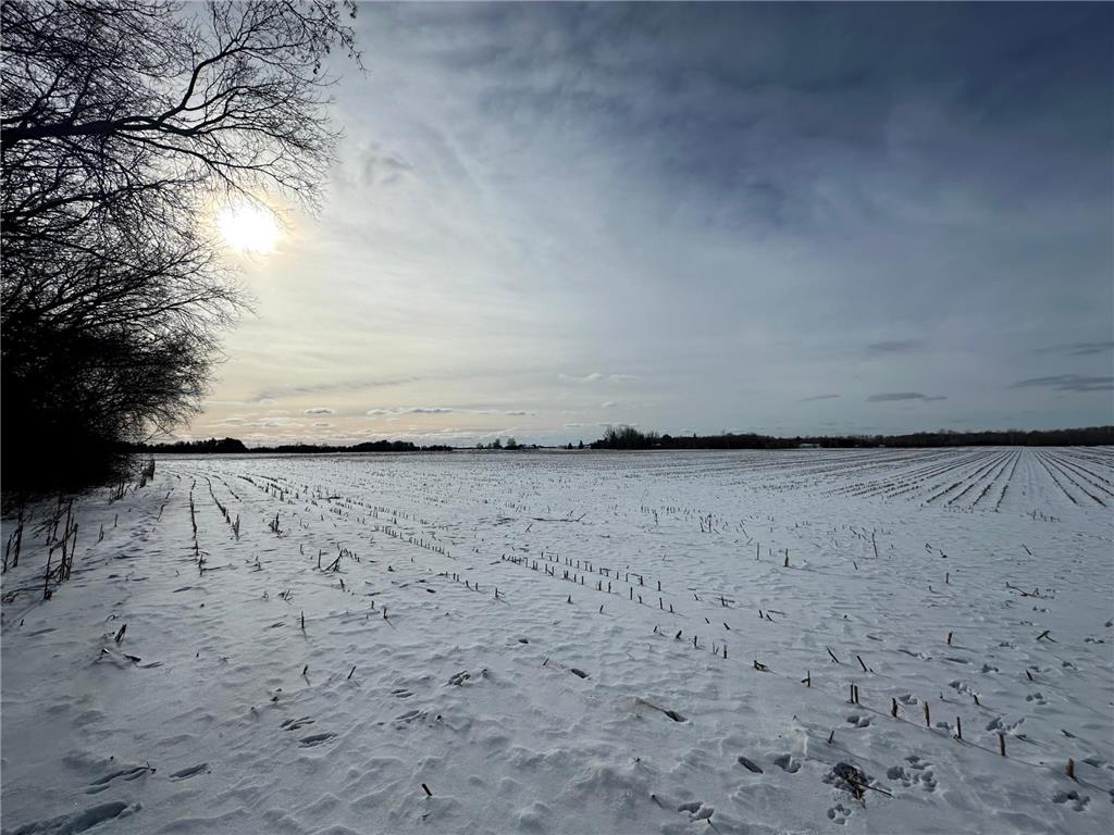 35XXX Vickers Street NE Cambridge Twp MN 55008 6583926 image1